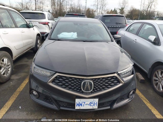 Acura Tlx Technology/a-spec 2019 19UUB1F64KA800277 Image 13