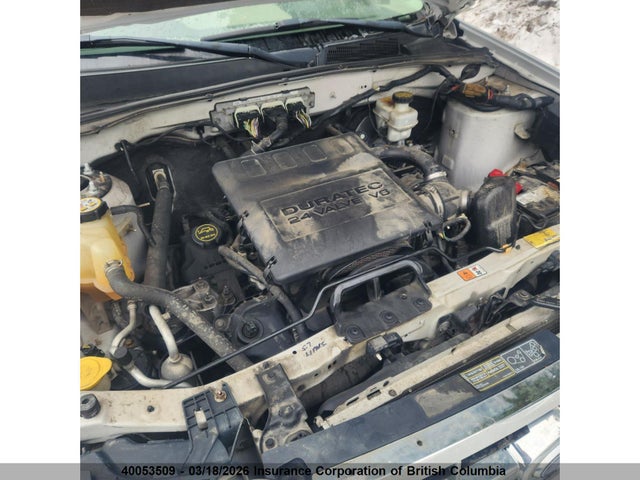 40053509 :رقم المزاد ، 1FMCU93G89KB18325 vin ، 2009 Ford Escape Xlt مزاد بيع