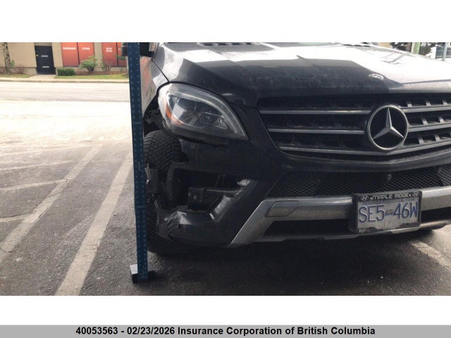 Mercedes-Benz Ml 350 Bluetec 2015 4JGDA2EB0FA600973 Image 3