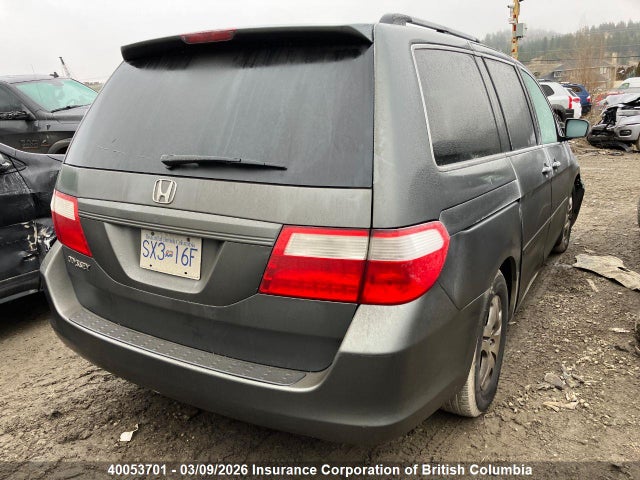 40053701 :رقم المزاد ، 5FNRL38767B513296 vin ، 2007 Honda Odyssey Exl مزاد بيع