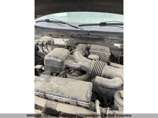 40054322 :رقم المزاد ، 1FTFW1EV1AFD69063 vin ، 2010 Ford F150 مزاد بيع