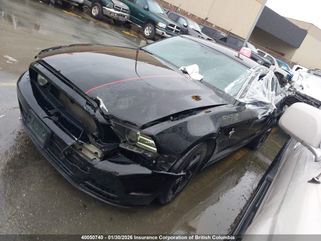 1ZVBP8AM2E5241571 Ford Mustang