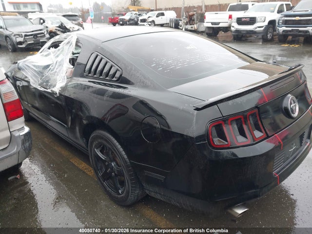 1ZVBP8AM2E5241571 Ford Mustang