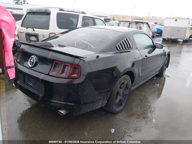 1ZVBP8AM2E5241571 Ford Mustang