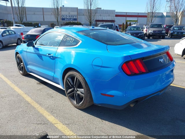 1FA6P8TH7H5303481 Ford Mustang