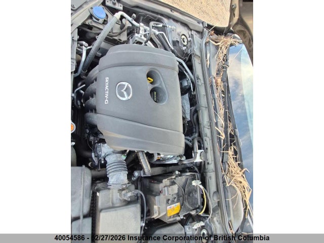 JM1BPBCL6M1327136 Mazda 3 Mazda Gs