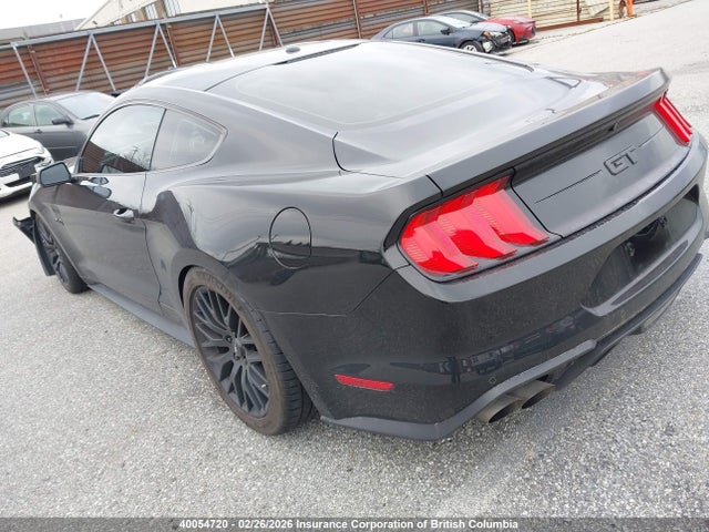 Ford MUSTANG GT 2019 1FA6P8CF0K5173016 Image 3