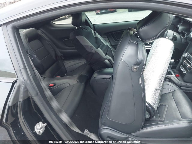 Ford MUSTANG GT 2019 1FA6P8CF0K5173016 Image 8
