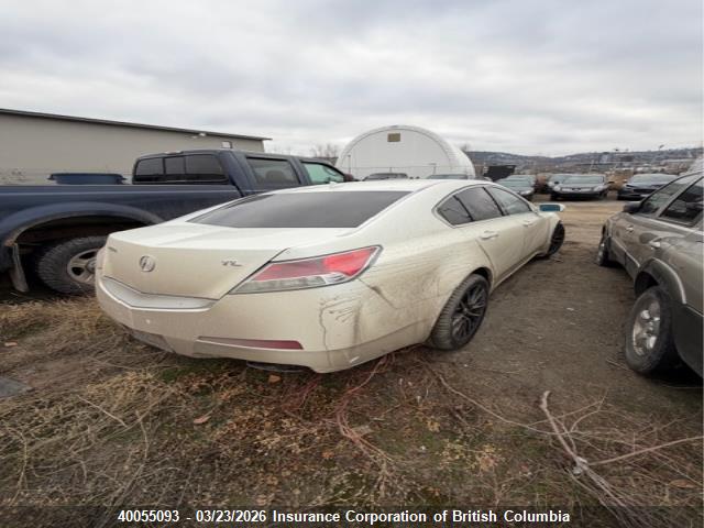 2010 Acura Tl მანქანა იყიდება აუქციონზე, vin: 19UUA8F28AA800449, აუქციონის ნომერი: 40055093