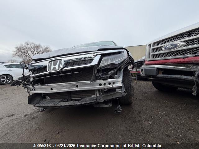 Продаж на аукціоні авто 2021 Honda Pilot, vin: 5FNYF6H69MB505488, номер лоту: 40055816