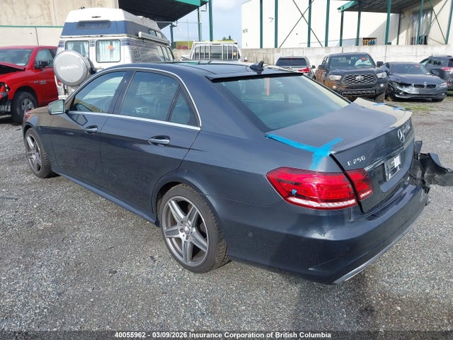 Mercedes-Benz E 250 Blutc 2014 WDDHF9HB6EB036028 Image 3