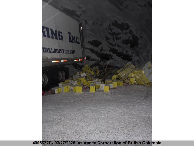 1JJV532B3LL230570 Wabash Commercial Cargo Trailer