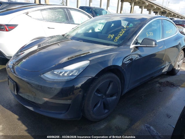 Продажа на аукционе авто 2019 Tesla Model 3, vin: 5YJ3E1EA3KF398587, номер лота: 40056255