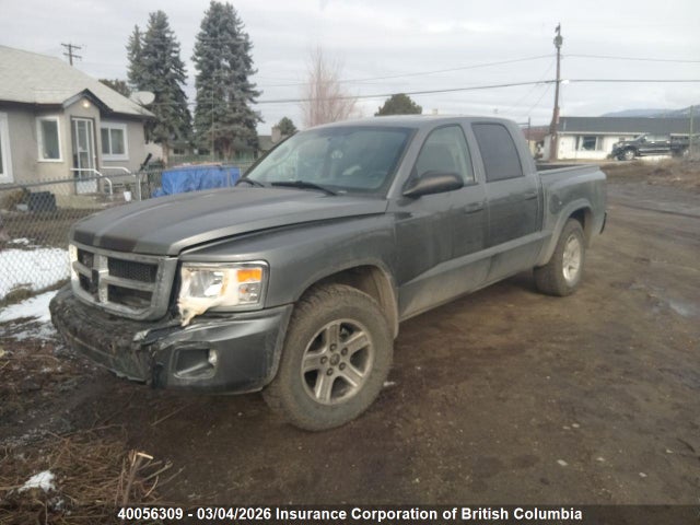 Aukcja sprzedaży 2008 Dodge Dakota Quad Slt, vin: 1D7HW48N28S517010, numer aukcji: 40056309