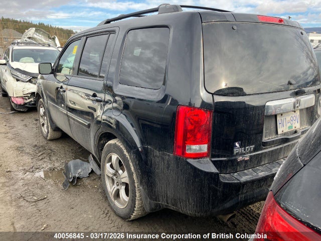 40056845 :رقم المزاد ، 5FNYF4H54EB503256 vin ، 2014 Honda Pilot مزاد بيع