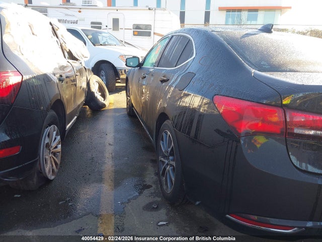 19UUB1F58GA800930 Acura TLX TECH