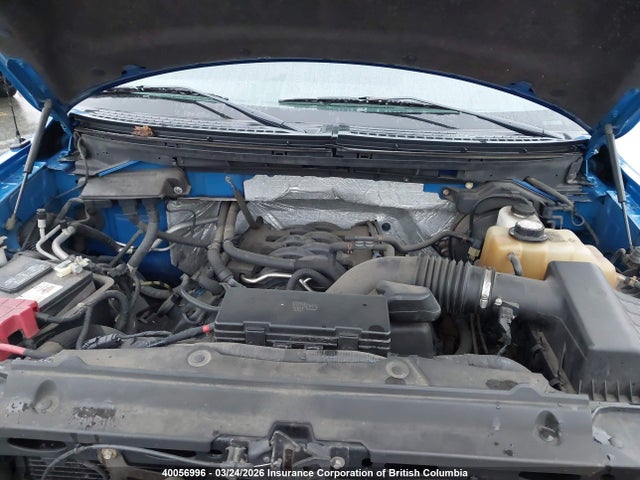 40056996 :رقم المزاد ، 1FTFW1EF7BFC36351 vin ، 2011 Ford F150 مزاد بيع
