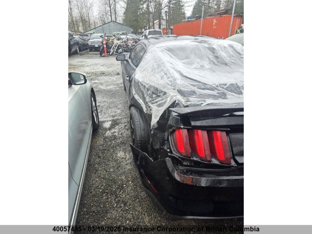 40057495 :رقم المزاد ، 1FA6P8CF9H5288089 vin ، 2017 Ford Mustang Gt مزاد بيع