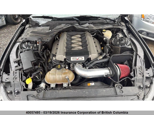 40057495 :رقم المزاد ، 1FA6P8CF9H5288089 vin ، 2017 Ford Mustang Gt مزاد بيع
