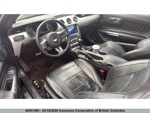 40057495 :رقم المزاد ، 1FA6P8CF9H5288089 vin ، 2017 Ford Mustang Gt مزاد بيع