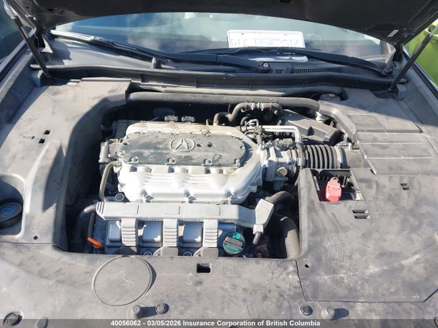 Продажа на аукционе авто 2010 Acura Tsx, vin: JH4CU4F40AC800380, номер лота: 40056062