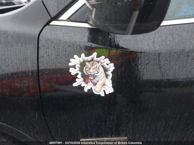 5N1AT2MV2HC754407 Nissan Rogue S/sl Platinum/sv