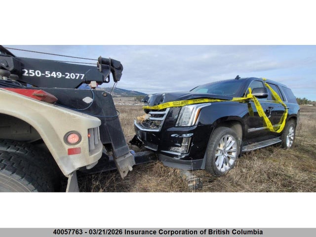 Cadillac Escalade Luxury 2017 1GYS4BKJ1HR305510 Image 11