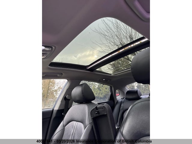5XXGU4L39GG006484 KIA OPTIMA EX