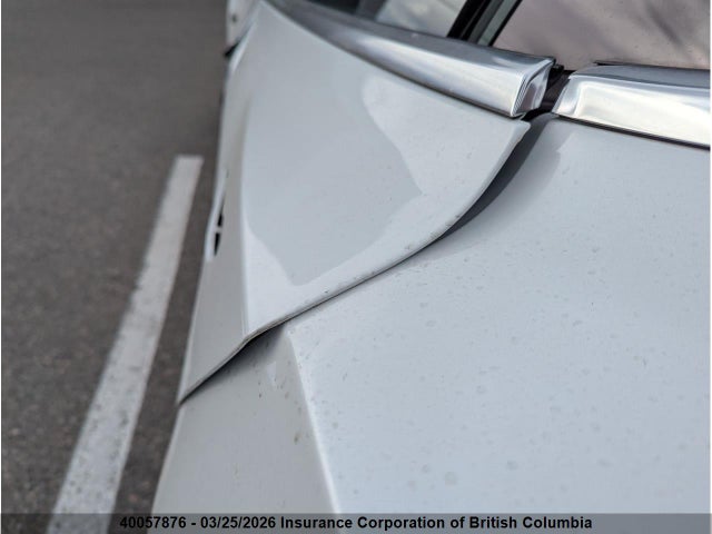 2019 Tesla Model 3 მანქანა იყიდება აუქციონზე, vin: 5YJ3E1EA0KF402403, აუქციონის ნომერი: 40057876