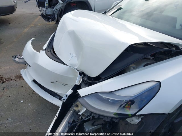 Tesla MODEL 3 2021 5YJ3E1EAXMF031334 Image 6