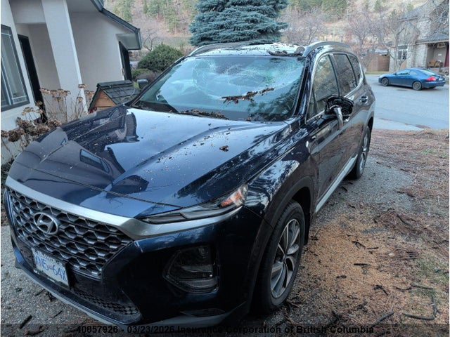 5NMS3CADXLH185889 Hyundai Santa Fe Sel/sel Plus