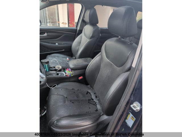 5NMS3CADXLH185889 Hyundai Santa Fe Sel/sel Plus