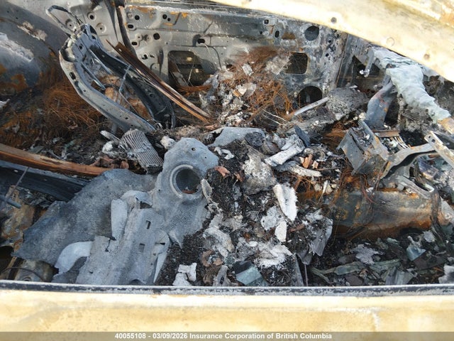 1FA6P8AM5H5304029 Ford Mustang