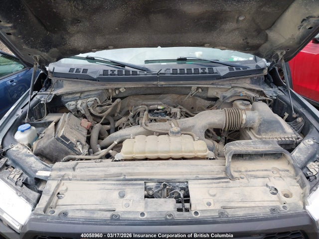 2019 Ford F150 Supercrew მანქანა იყიდება აუქციონზე, vin: 1FTEW1EP5KKE01566, აუქციონის ნომერი: 40058960