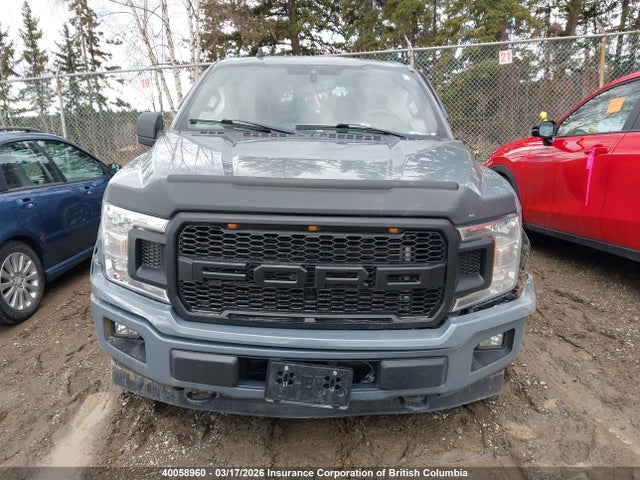 2019 Ford F150 Supercrew მანქანა იყიდება აუქციონზე, vin: 1FTEW1EP5KKE01566, აუქციონის ნომერი: 40058960