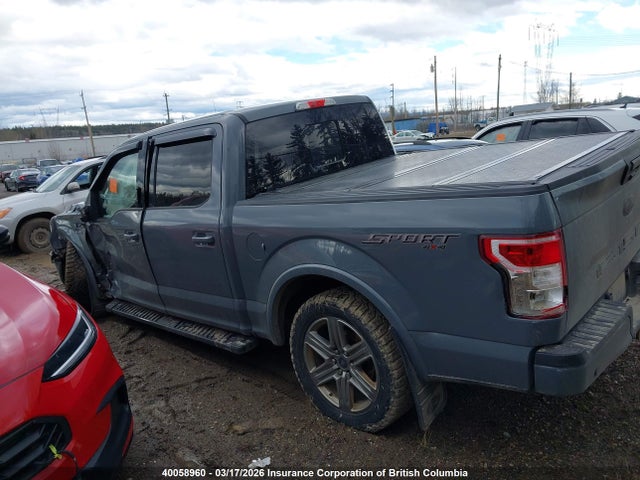 2019 Ford F150 Supercrew მანქანა იყიდება აუქციონზე, vin: 1FTEW1EP5KKE01566, აუქციონის ნომერი: 40058960