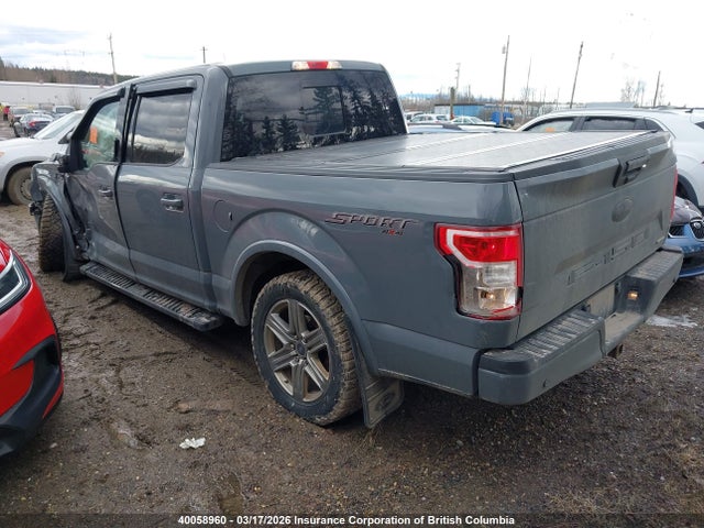 2019 Ford F150 Supercrew მანქანა იყიდება აუქციონზე, vin: 1FTEW1EP5KKE01566, აუქციონის ნომერი: 40058960