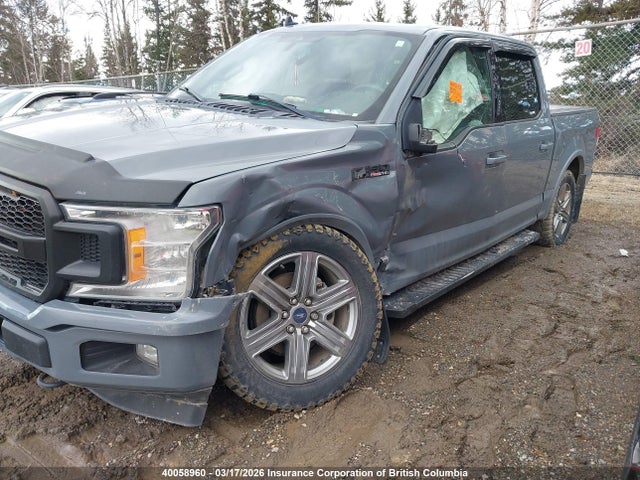 2019 Ford F150 Supercrew მანქანა იყიდება აუქციონზე, vin: 1FTEW1EP5KKE01566, აუქციონის ნომერი: 40058960