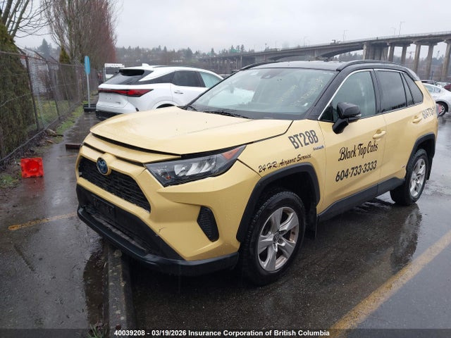 2021 Toyota Rav4 Le მანქანა იყიდება აუქციონზე, vin: 2T3BWRFV3MW103803, აუქციონის ნომერი: 40039208