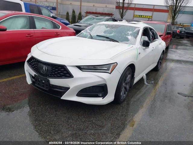 19UUB6F53PA800539 Acura TLX