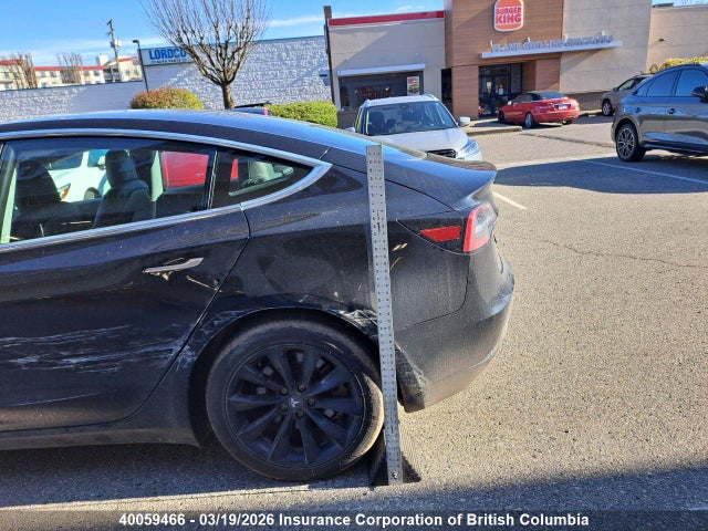 2020 Tesla Model 3 მანქანა იყიდება აუქციონზე, vin: 5YJ3E1EA5LF738422, აუქციონის ნომერი: 40059466