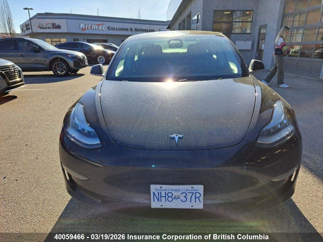 2020 Tesla Model 3 მანქანა იყიდება აუქციონზე, vin: 5YJ3E1EA5LF738422, აუქციონის ნომერი: 40059466