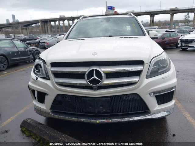 Mercedes-Benz Gl 350 Bluetec 4matic 2015 4JGDF2EE5FA547599 Image 13