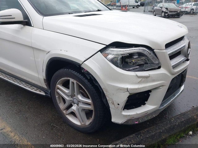 Mercedes-Benz Gl 350 Bluetec 4matic 2015 4JGDF2EE5FA547599 Image 6