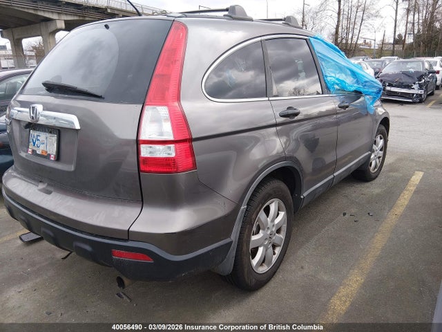 2009 Honda Cr-v Ex მანქანა იყიდება აუქციონზე, vin: 5J6RE48509L802960, აუქციონის ნომერი: 40056490