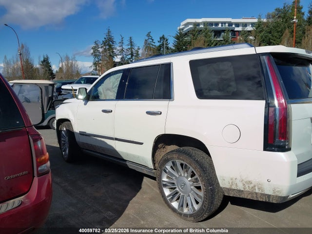 Cadillac Escalade Platinum 2019 1GYS4DKJ6KR203784 Image 14