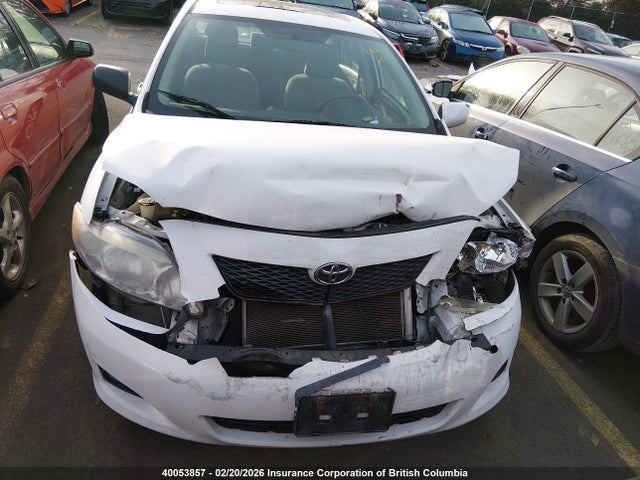 40053857 :رقم المزاد ، 2T1BU4EE8AC299852 vin ، 2010 Toyota Corolla S/le/xle مزاد بيع
