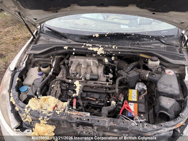 2007 Nissan Murano Sl/se/s მანქანა იყიდება აუქციონზე, vin: JN8AZ08W97W655675, აუქციონის ნომერი: 40059850