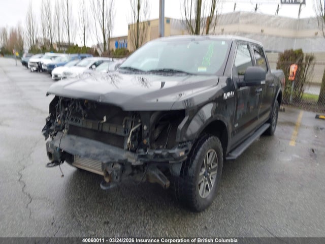 Aukcja sprzedaży 2015 Ford F150, vin: 1FTEW1EG9FFB71688, numer aukcji: 40060011