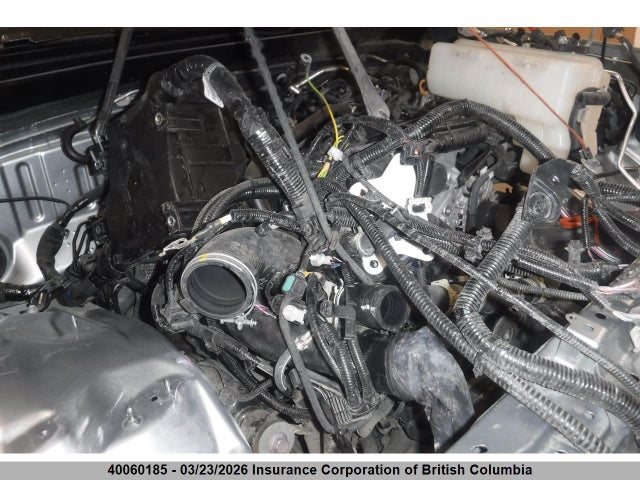 40060185 :رقم المزاد ، 3TYLB5JN5ST061413 vin ، 2025 Toyota Tacoma Double Cab/sr5/trd Sport/trd Off Road/ltd مزاد بيع